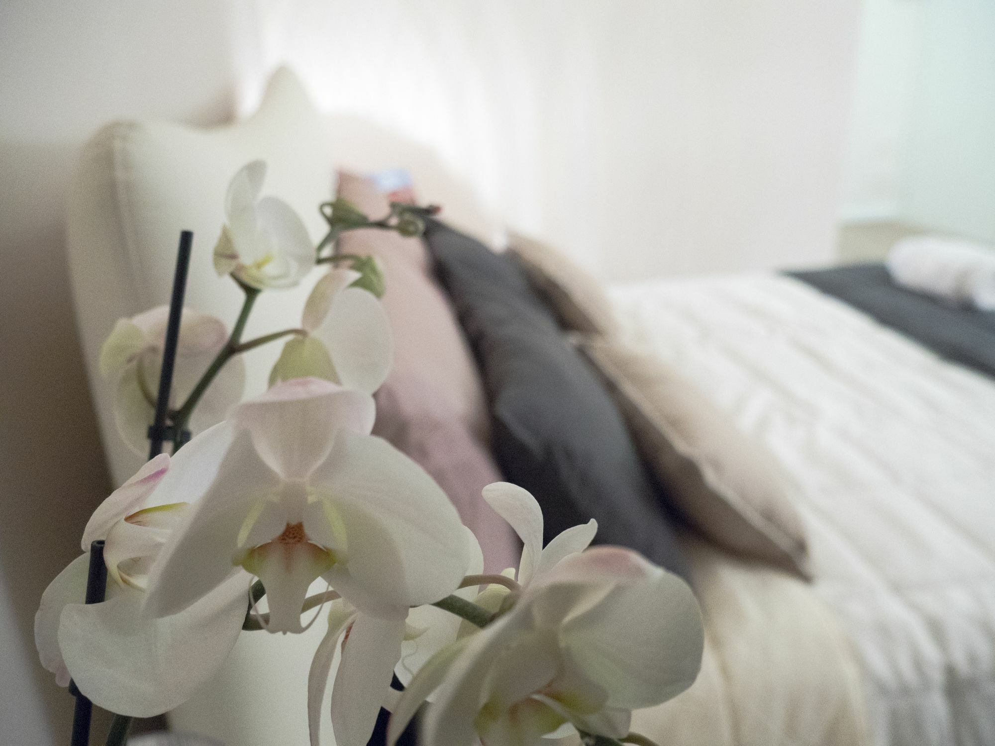 Relais Love Verona Ngoại thất bức ảnh